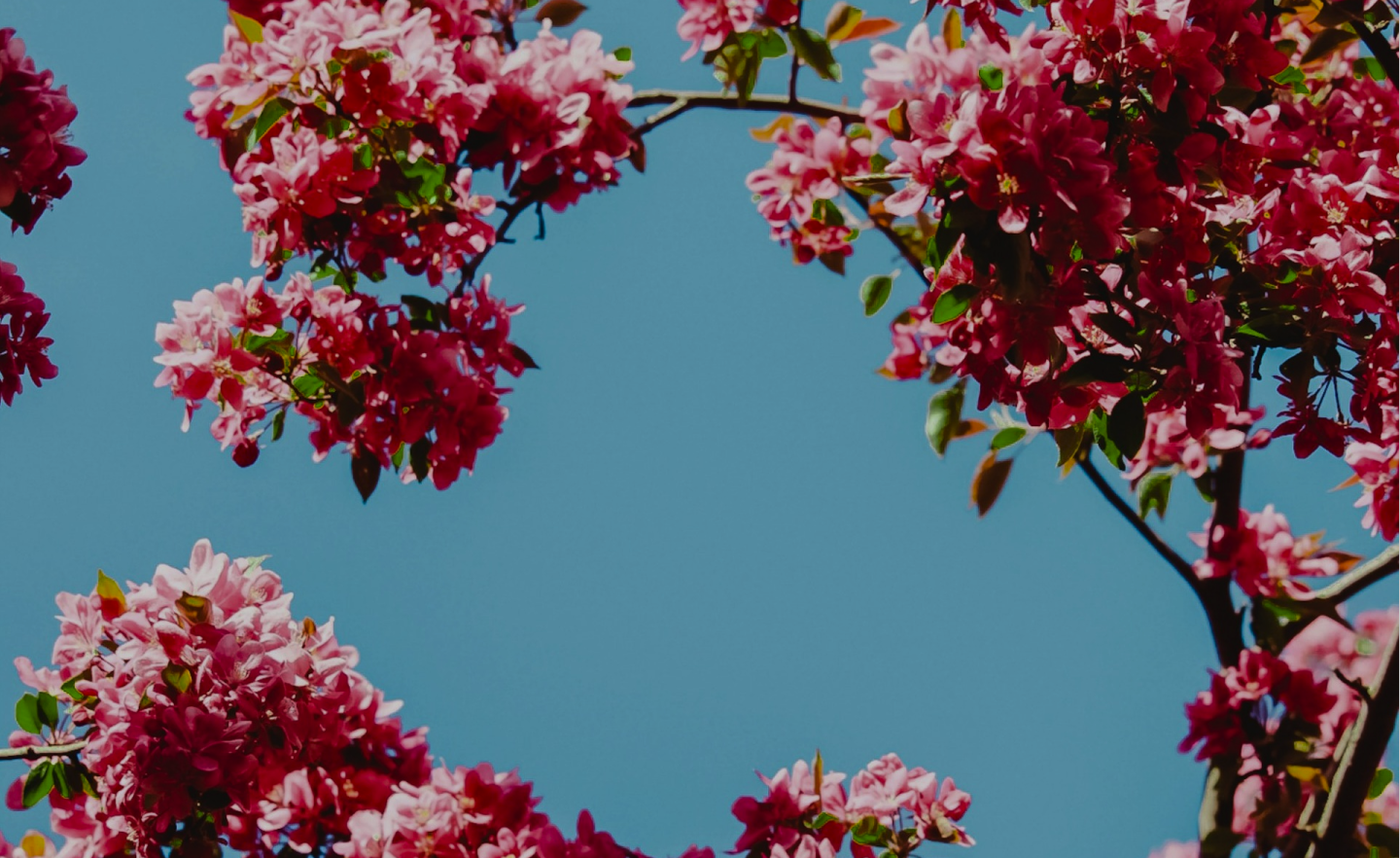 Весенние скидки до -50%